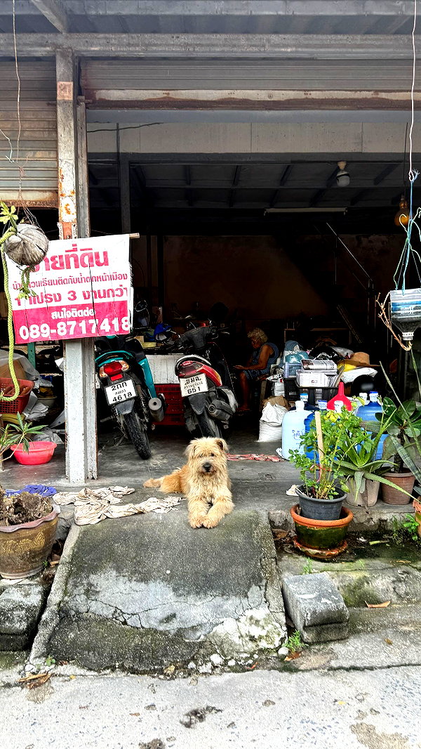 maya.keyy instagram image archive image
