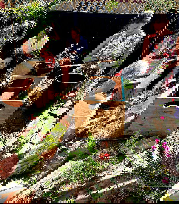 taylor.creeden taylor.creeden archive image