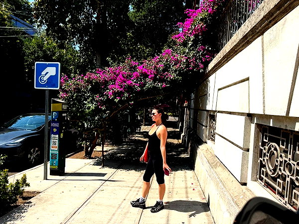 sydneygottlieb instagram image archive image