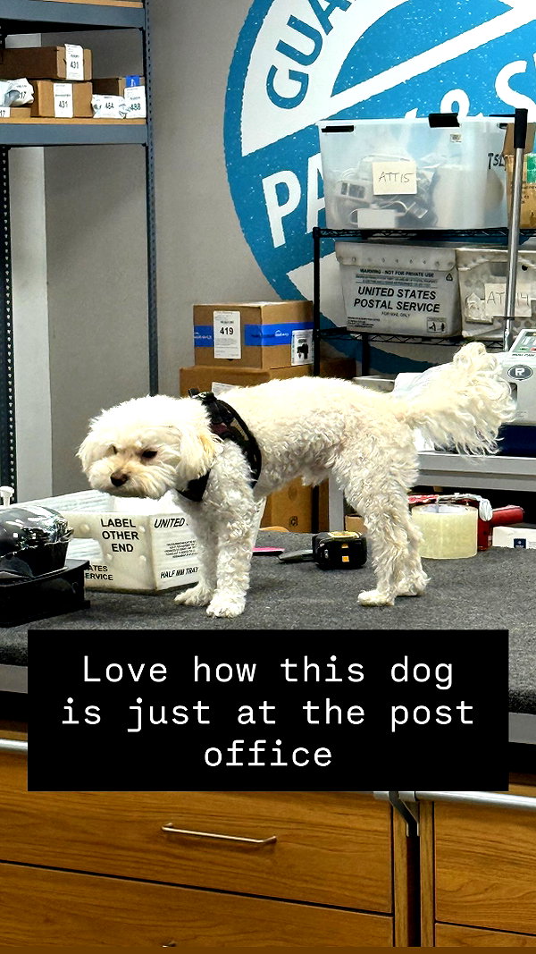 symonery instagram image archive image