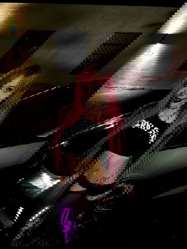 pixelpuppi pixelpuppi archive image