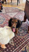 libby_reut Altpins Profile Picture