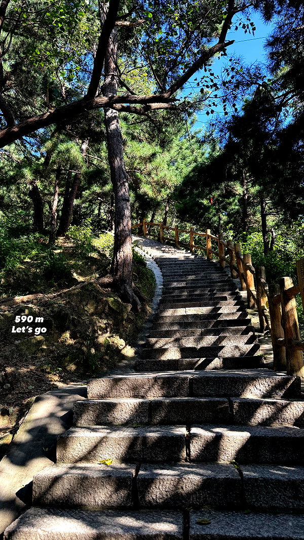 kesemgreenyer instagram image archive image