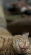 mishel116 Altpins Profile Picture