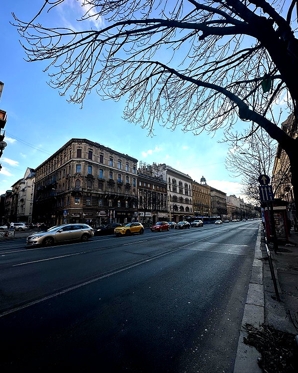 koralsarosi_ instagram image archive image