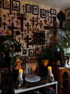 mollieruck Altpins Profile Picture