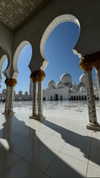 mishel_d_ Altpins Profile Picture