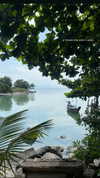 __yaheli_ Altpins Profile Picture