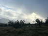 daisy_r_19 Altpins Profile Picture