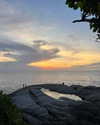 daryanedarya Altpins Profile Picture