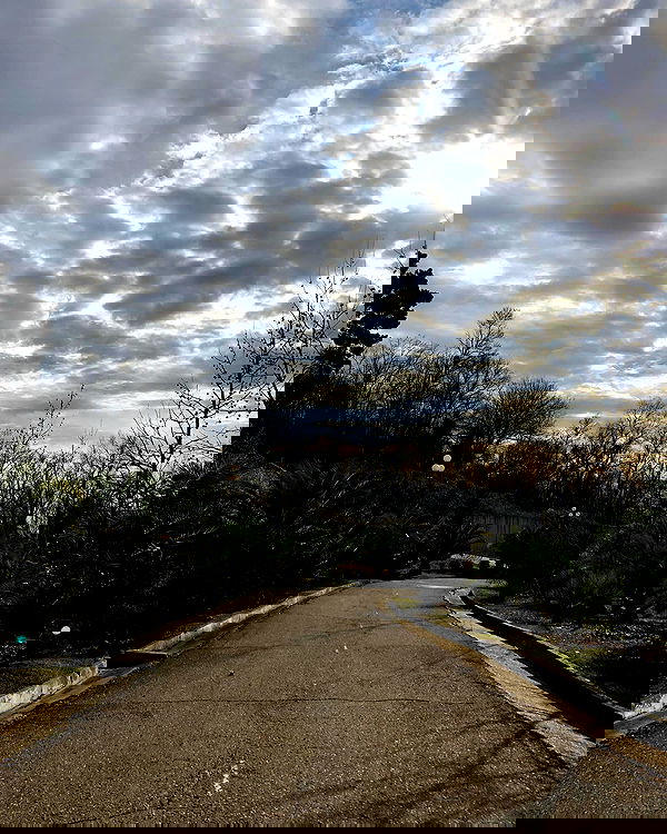 kkulakovaa image ~ Altpins