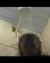 leanbeefpatty Altpins Profile Picture