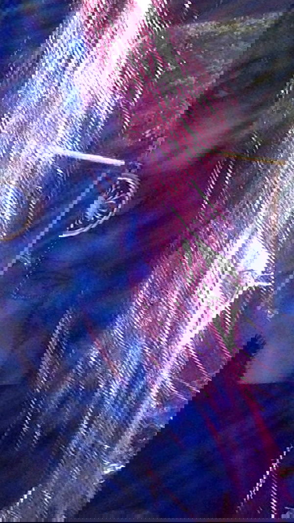 zommmbri zommmbri archive image