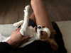 alexxndrraa Altpins Profile Picture