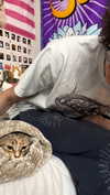 brain_eaterr Altpins Profile Picture