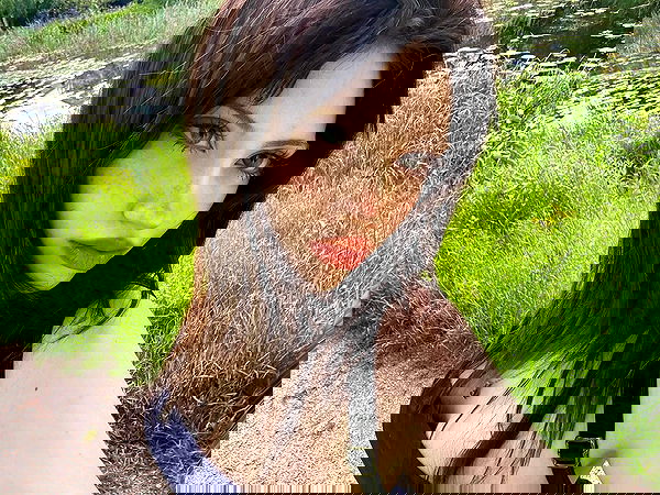 hirixie hirixie archive image