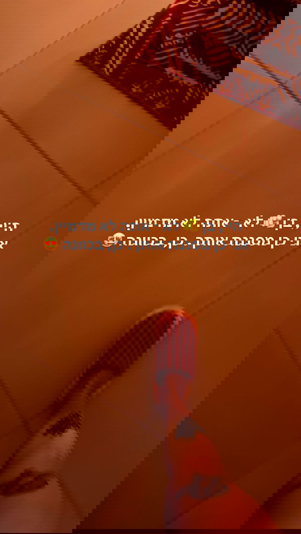 iambohema.v2 iambohema.v2 archive image