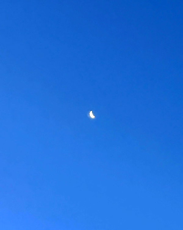8.08.315 instagram image archive image