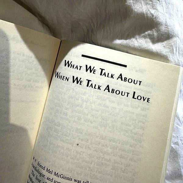 dualipa instagram image archive image