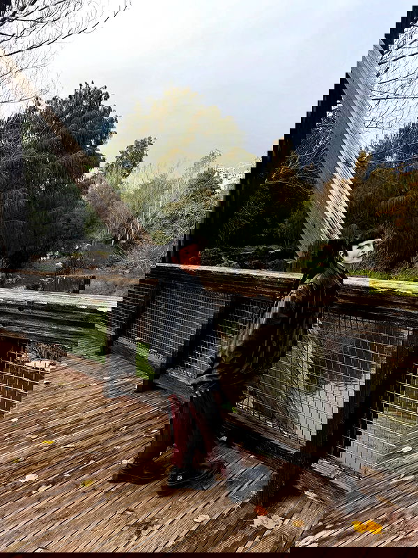 strawberryshanz strawberryshanz archive image