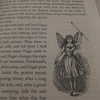 livia._.paige Altpins Profile Picture