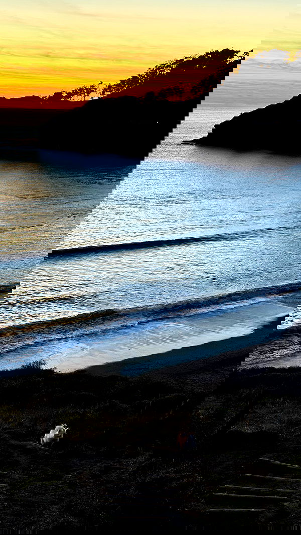 carolinezalog carolinezalog archive image