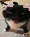 _kybelle Altpins Profile Picture