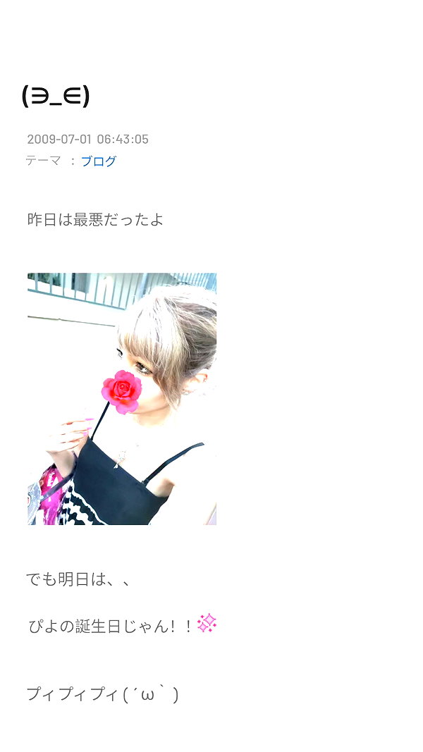 piyokoblog archive image