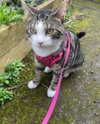 jahia_brown Altpins Profile Picture