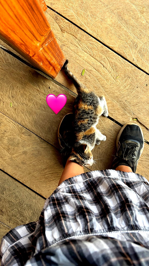Archived image from @yam_adler on Instagram