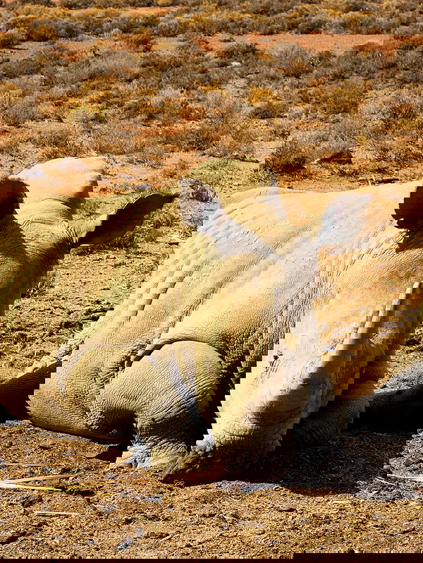 taylor.creeden taylor.creeden archive image