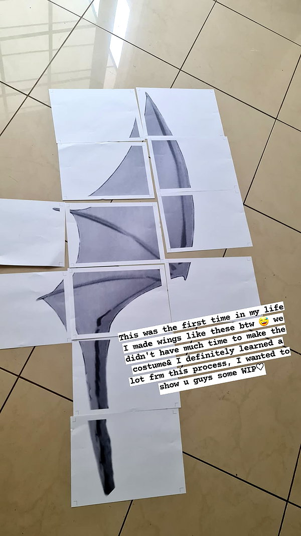 sayathefox instagram image archive image