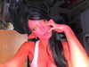 pipssqueakss Altpins Profile Picture