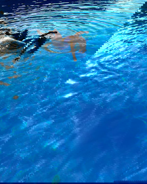 kkulakovaa image ~ Altpins