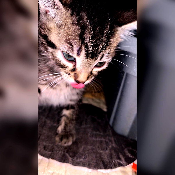 mishel_.gomez._18 instagram image archive image