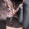 mishel_.gomez._18 Altpins Profile Picture