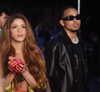 shakira Altpins Profile Picture