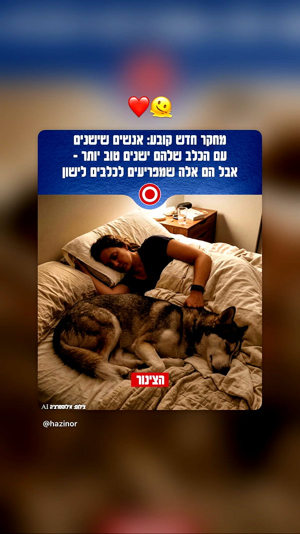 ory_lidor instagram image archive image
