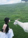 yuna_1_27 Altpins Profile Picture