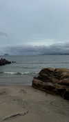 lalytoples Altpins Profile Picture