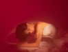 abigailgilat Altpins Profile Picture