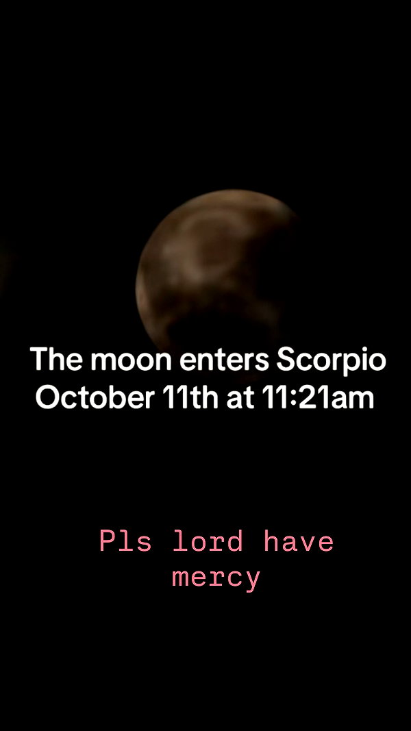 xsurio instagram image archive image