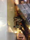llinolinaa Altpins Profile Picture