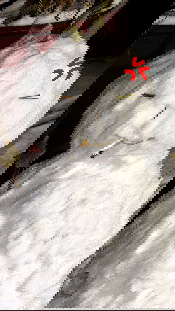 eliya.ho eliya.ho archive image