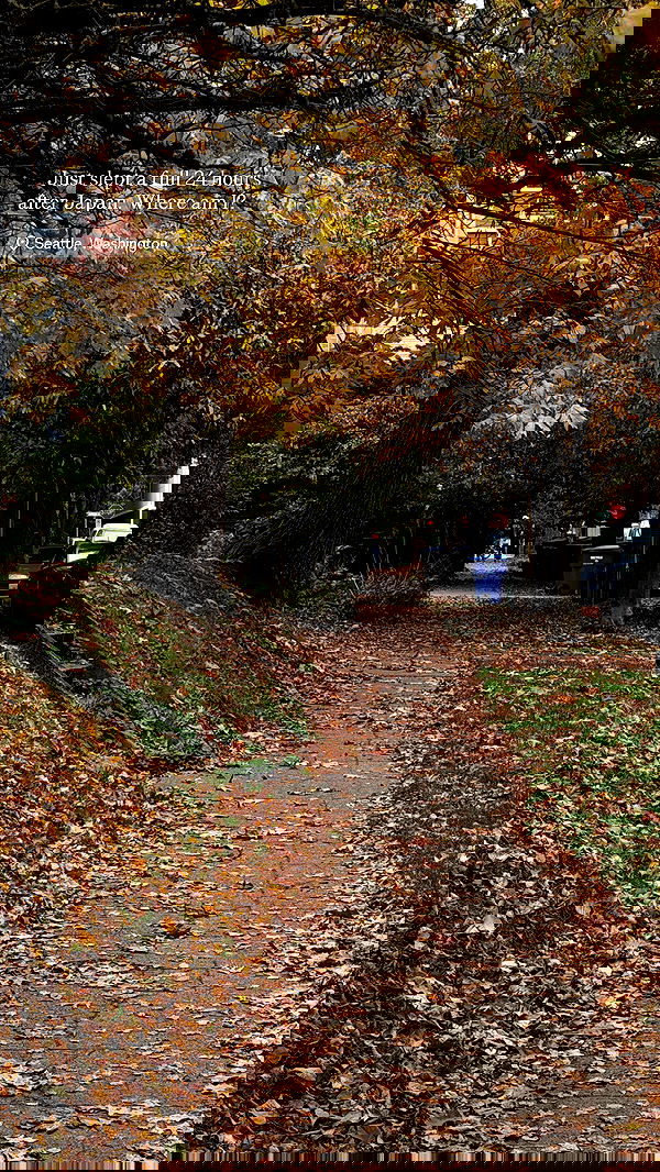 taylor.creeden taylor.creeden archive image