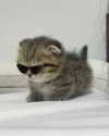 nishymoon_ Altpins Profile Picture