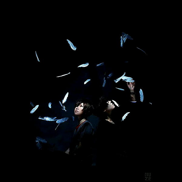 muze instagram image archive image
