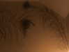 lyra.car Altpins Profile Picture