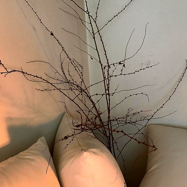 daxbin instagram image archive image