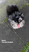 nina.kxs Altpins Profile Picture